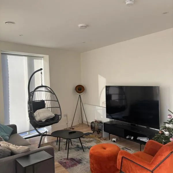 Modern-Spacious Dublin Apartment，位于都柏林的酒店