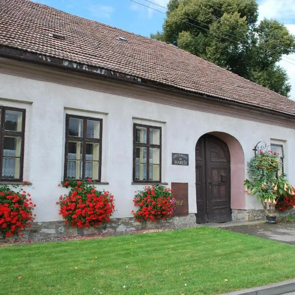 Rodinné ubytování na Habeši，位于Vítějeves的酒店