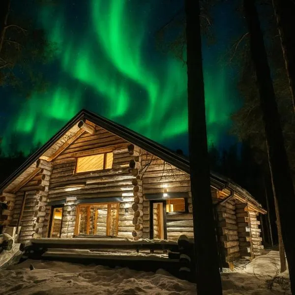 Kelokurki - The Luxury Chalet Where Serenity Meets the Northern Lights，位于列维的酒店