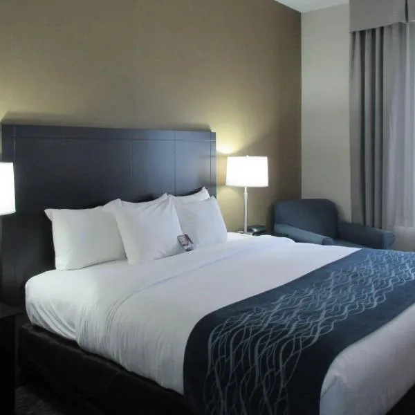 Comfort Inn Port Huron，位于休伦港的酒店