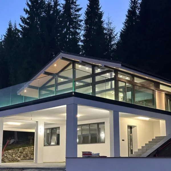 Berryhouse，位于Vyshkiv的酒店