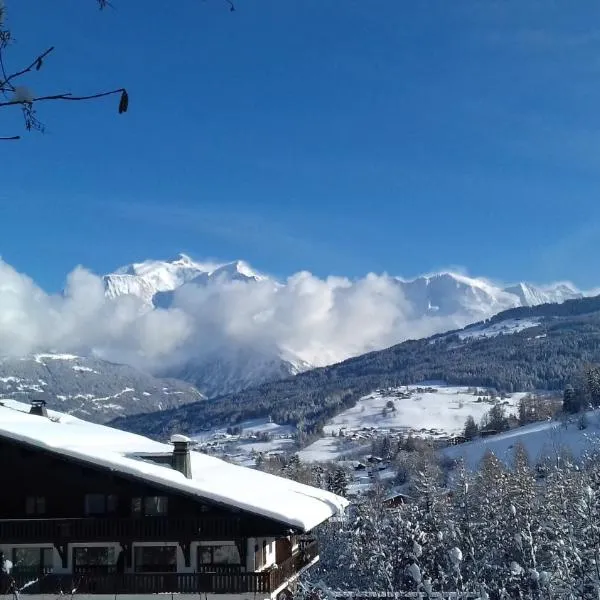 AP-37 La Grande Cordée Combloux，位于孔布卢的酒店