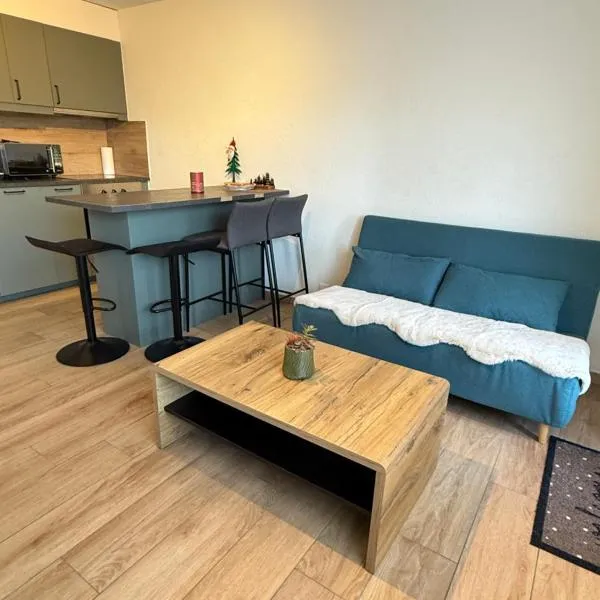 Torrent House，位于布夫雷的酒店