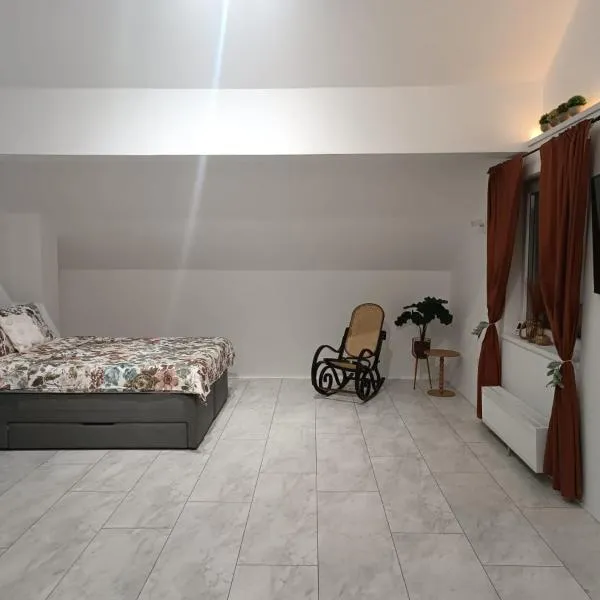 Popas 26，位于讷德拉克的酒店