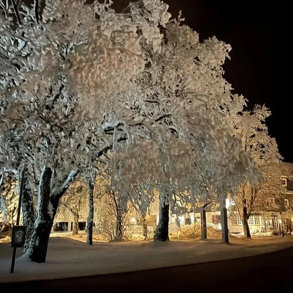 奥塔滕堡酒店，位于温特贝格的酒店