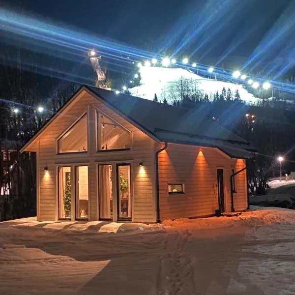 The New Lodge Ski In Ski Out，位于迪韦德的酒店