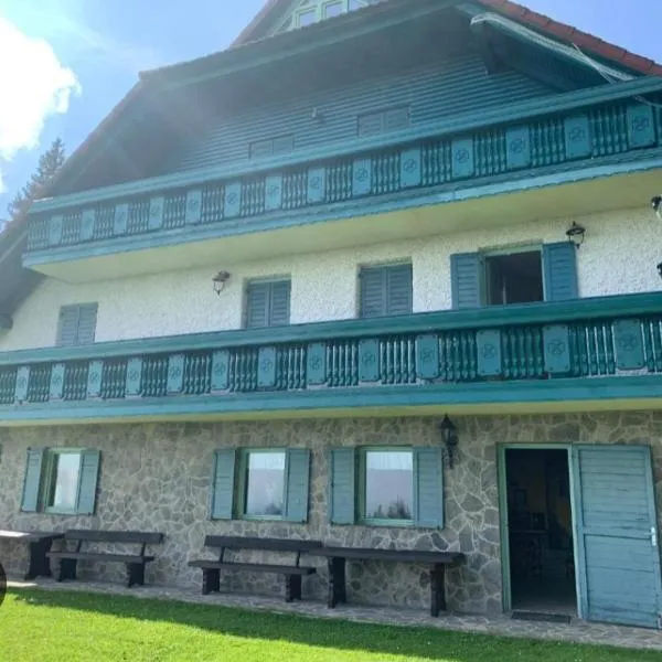 Apartma Ajdovka Rogla，位于Rakovec的酒店