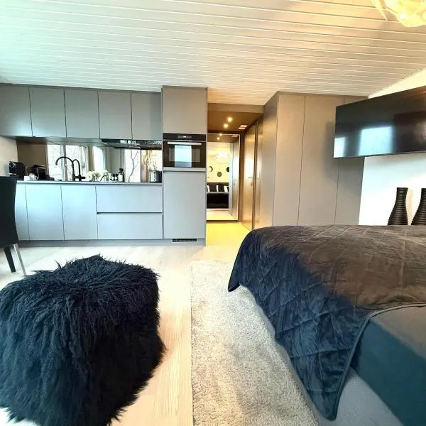 Luxus Studio Apartment am Bodensee，位于戈汀根的酒店