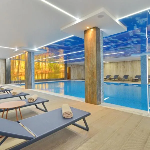 Hotel Aleksandar Conference & Spa，位于扎布利亚克的酒店