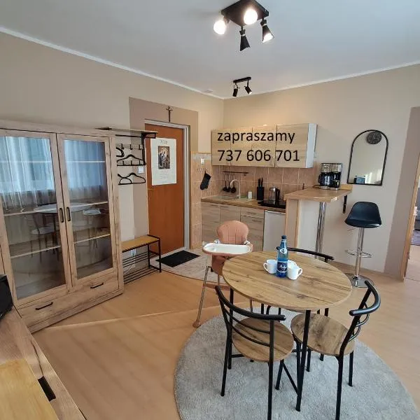 przy Zamku Ryn，位于雷恩的酒店