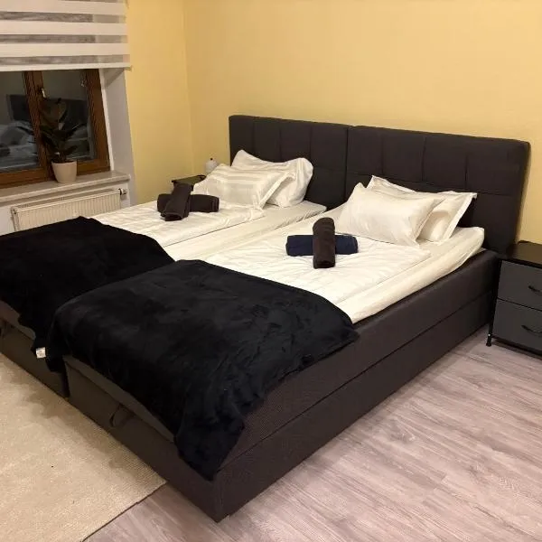 Comfort Apartment Chemnitz，位于开姆尼茨的酒店