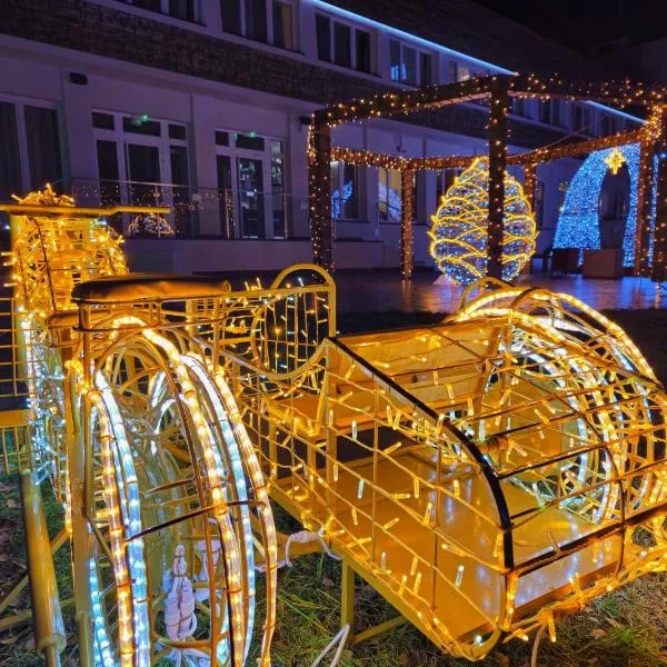 Malinowski Leśny，位于格利维采的酒店