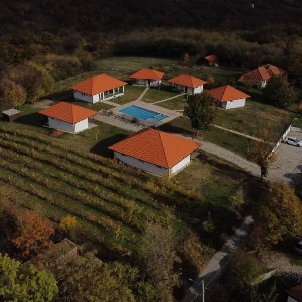 Vinogradi Zmajevački，位于姆拉代诺瓦茨的酒店