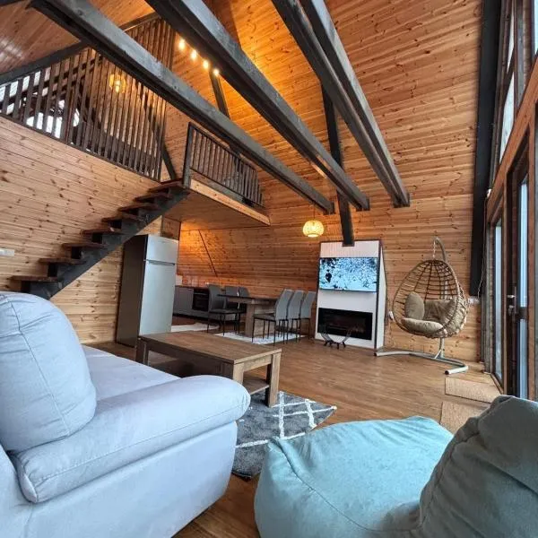 Transilvania Chalet，位于泽尔内什蒂的酒店