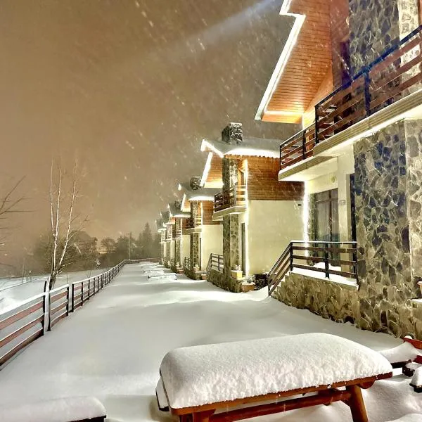 Villa Mtashi，位于巴库里阿尼的酒店