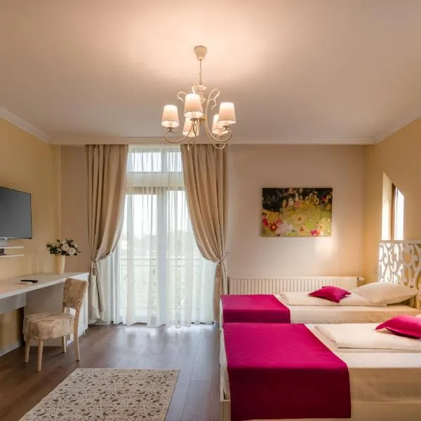 Seva Hotel Health Club，位于Lunca Mare的酒店