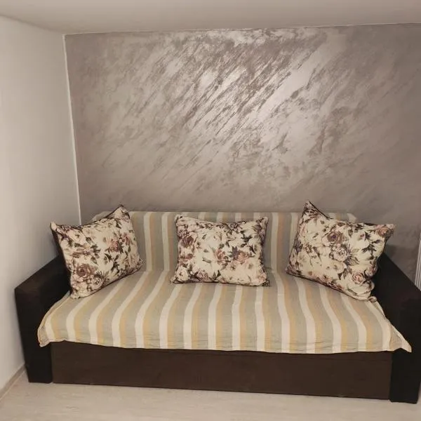 Garsoniera 20m2 anexată la casa proprietarului，位于博托沙尼的酒店