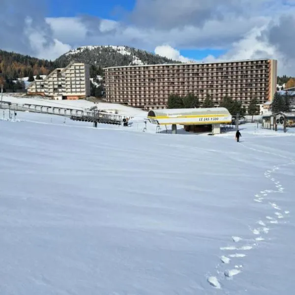 Studio Superdevoluy 4 personnes au pied des pistes，位于Superdevoluy的酒店