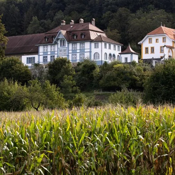 Château de Marnand - Duplex à la ferme，位于Granges-près-Marnand的酒店