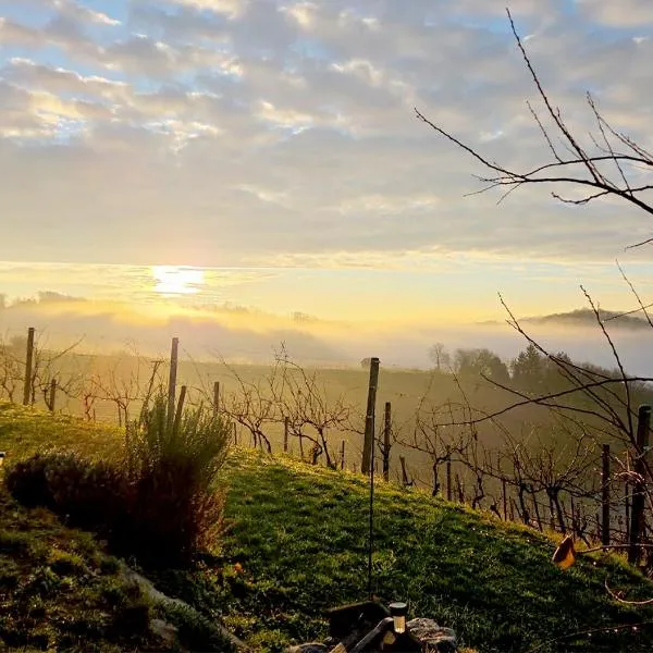 Gold Wine Estate，位于Podlehnik的酒店