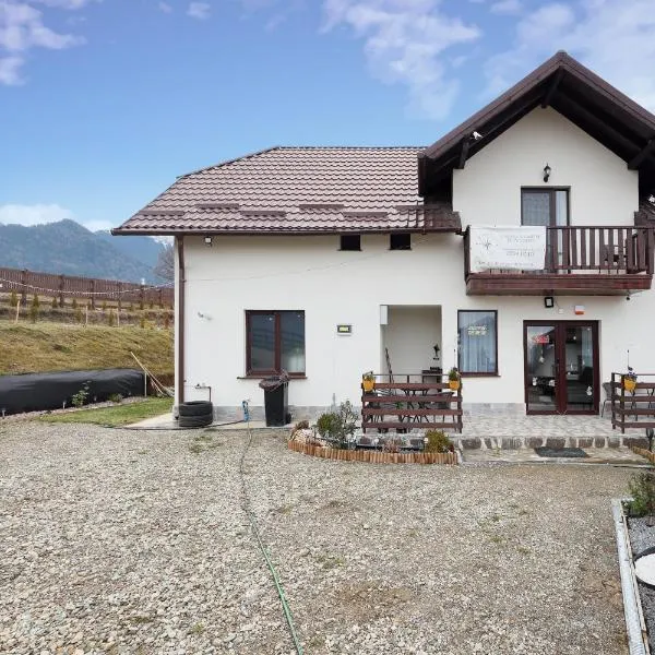 Casa Calatorului Rasnov，位于莱斯诺夫的酒店