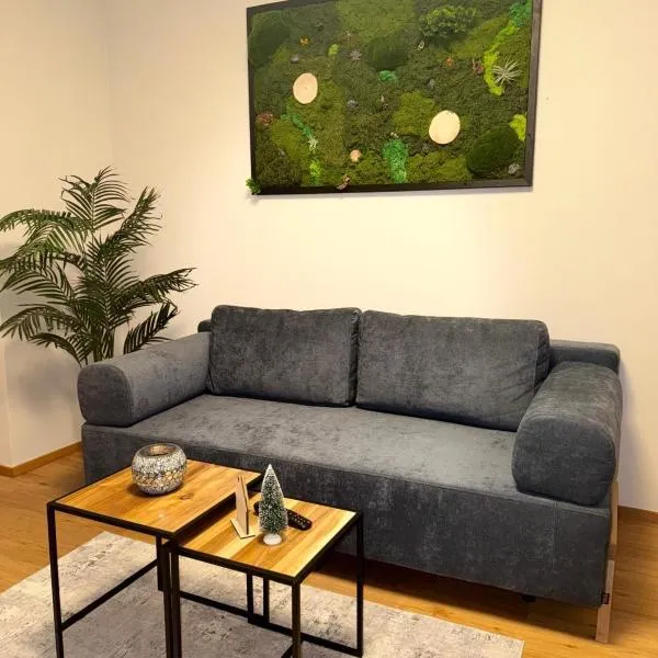 Apartment Almtal Liebe，位于Viechtwang的酒店