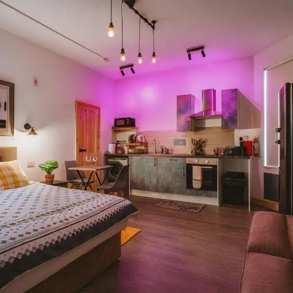 Luxury Industrial Studio，位于海丁利的酒店