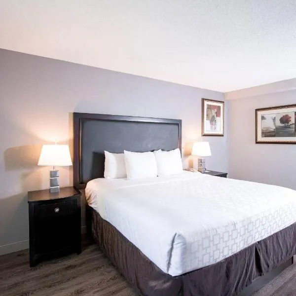 利斯堡克拉丽奥酒店及会议中心 ，位于利斯堡的酒店