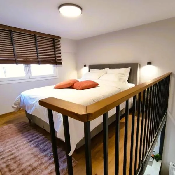 Homey Edessa Loft，位于埃泽萨的酒店