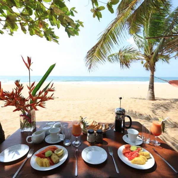 红树林海滩小屋酒店，位于坦加拉的酒店