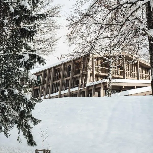 渤兴酒店，位于博希尼的酒店