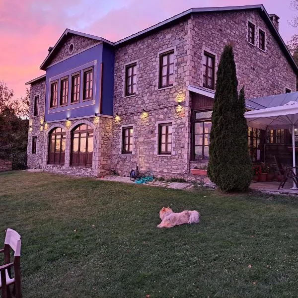 Ξενώνας Αργυρώ，位于尼姆法奥的酒店
