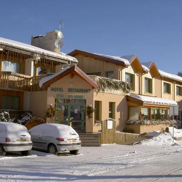 Etoile des Neiges Hôtel et Piscine，位于梅塔比耶的酒店