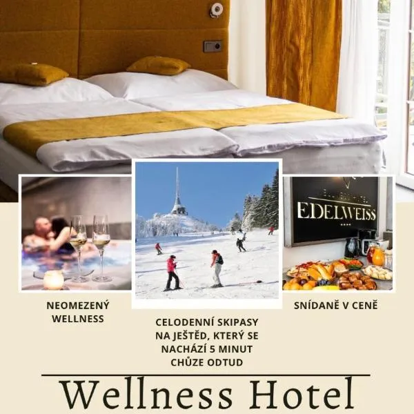 Wellness Hotel Edelweiss，位于利贝雷茨的酒店