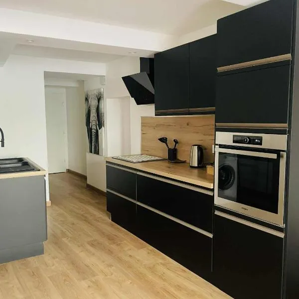 Studio Bohème，位于La Côte-Saint-André的酒店