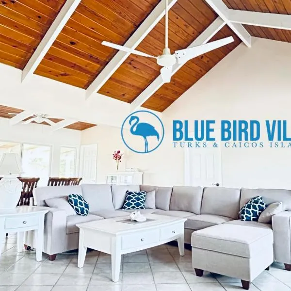 Blue Bird Villa - Turks & Caicos，位于Turtle Cove的酒店