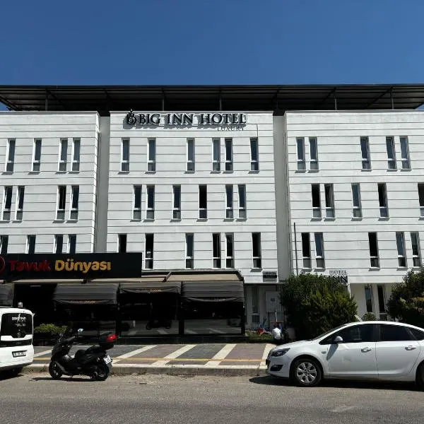 Big Inn Luxury Hotel，位于Biga的酒店
