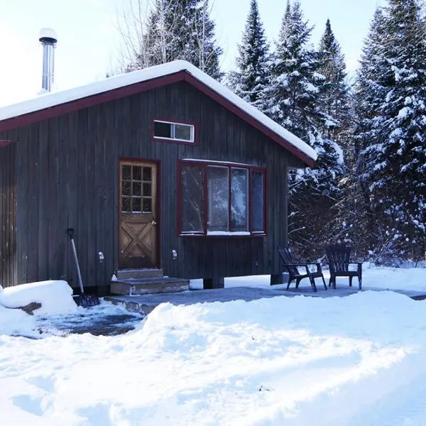 Meadowlark Cabin #5，位于Maynooth的酒店