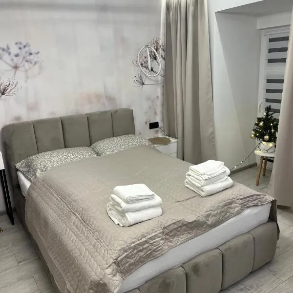 Apartament Bursztynowy，位于Olesno的酒店
