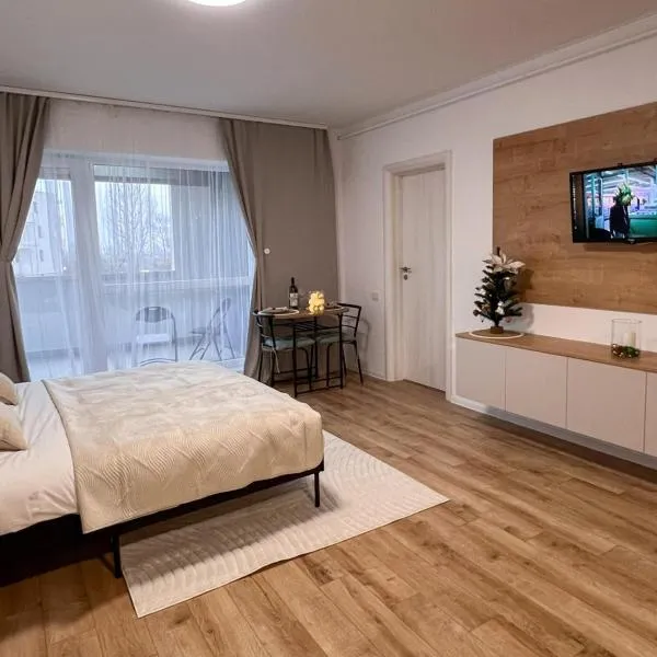 LUMO Stylish Studio Private Terrace Free Parking Near Coresi，位于布拉索夫的酒店