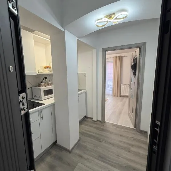 Studio Nicolas，位于卢戈日的酒店