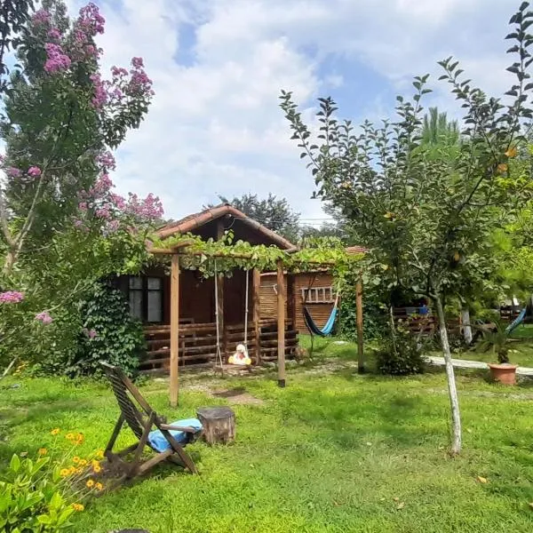 Tiny houses Genacvale，位于马尔特维利的酒店