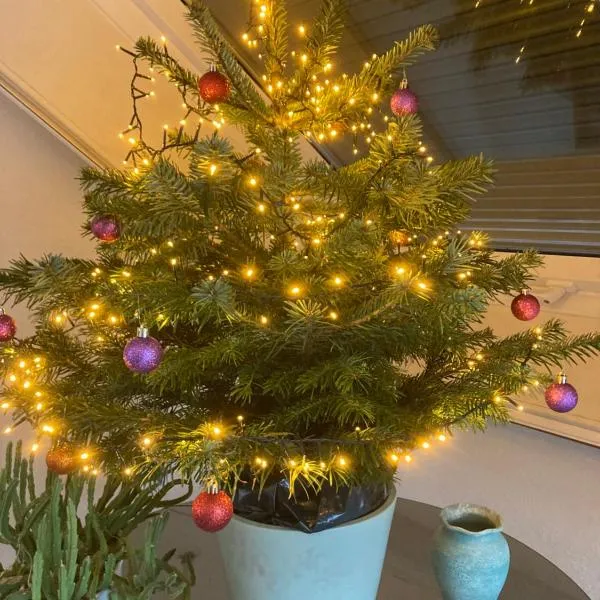 Rebstock，位于莱茵河畔凯尔的酒店