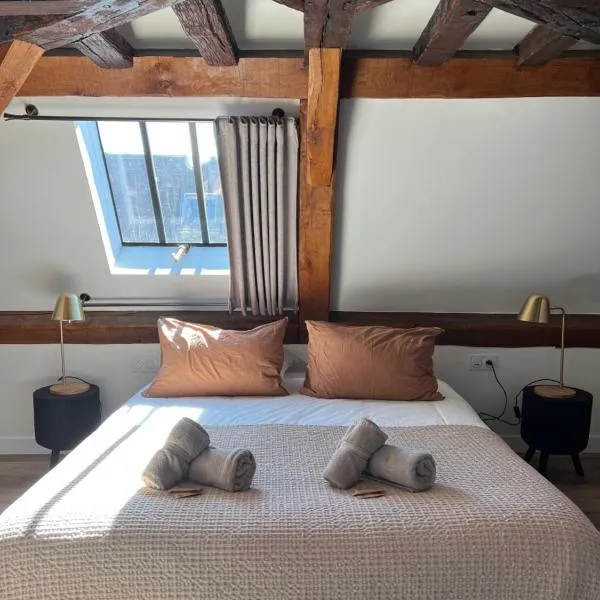 Le Laurencin Sens - L Authentique - Cœur de ville，位于桑斯的酒店