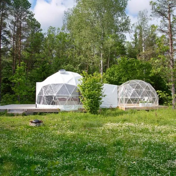 Bubble House glamping tent Odulemma，位于Odulemma的酒店