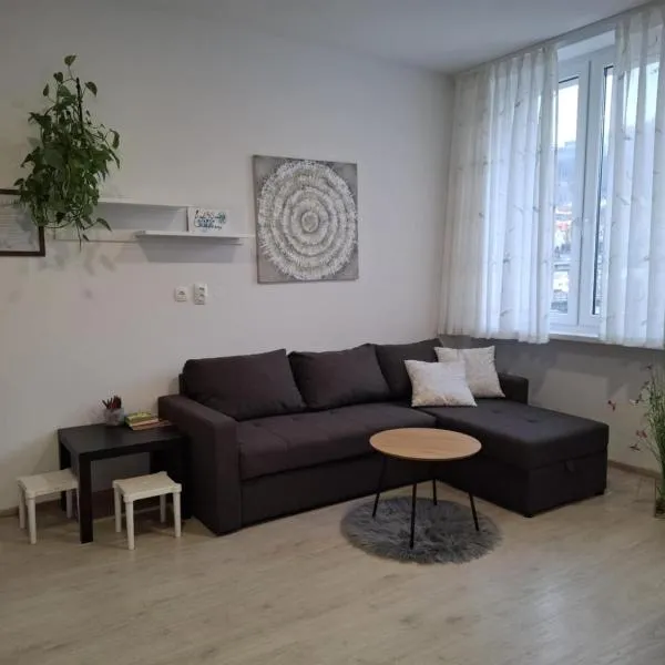 Prenočišča Dany APARTMA 2，位于Dravograd的酒店