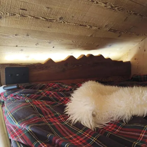 De Schoof, Mini-chalet walser avec une vue époustouflante，位于阿兰尼亚·瓦尔塞西娅的酒店
