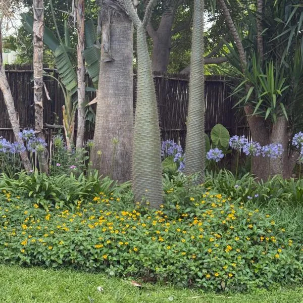 La Bushka Guesthouse，位于贝拉贝拉的酒店