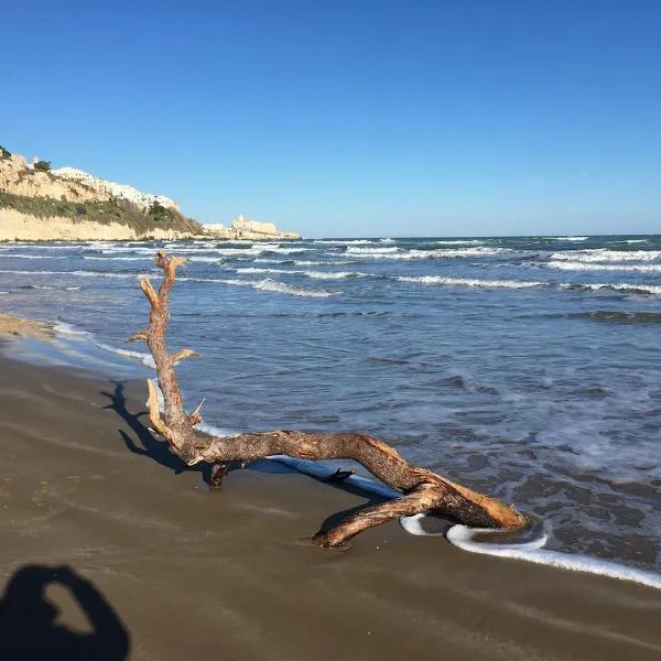 Medieval terraced house in Vieste Vecchia，位于维耶斯泰的酒店