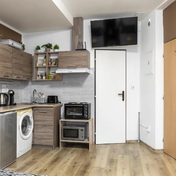 Ubytováni u PÁji，位于Kynšperk nad Ohří的酒店